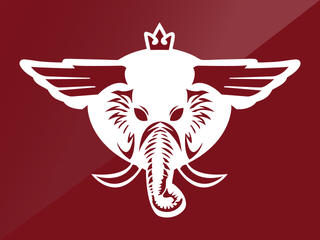 लखनऊ सुपर जायंट्स